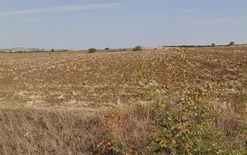 Auction image Farmland