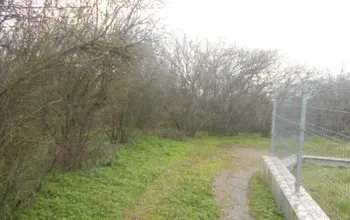 Auction image Land for building