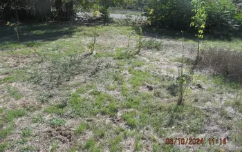 Auction image Land for building
