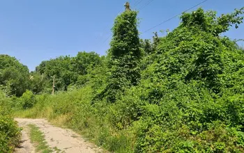 Auction image Land for building
