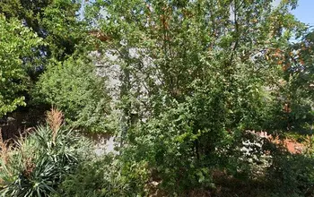 Auction image Land for building