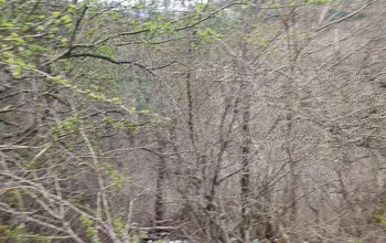 Auction image Land for building