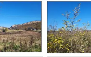 Auction image Farmland