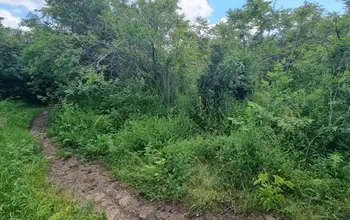 Auction image Land for building