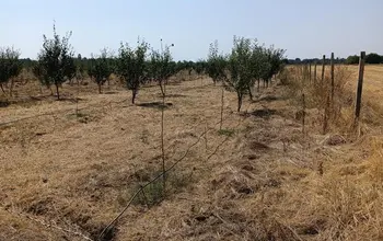Auction image Land for building