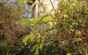 Auction image Land for building