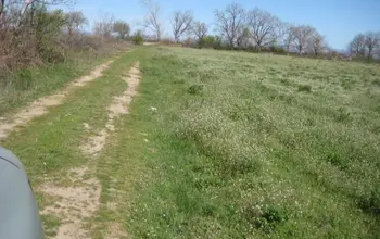 Auction image Farmland