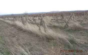 Auction image Farmland