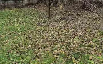Auction image Land for building