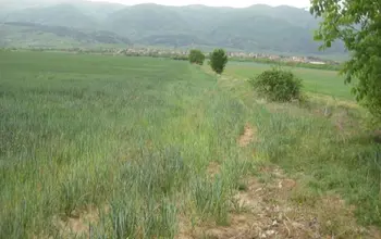 Auction image Farmland