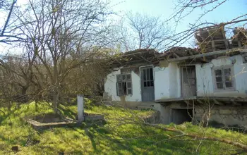 Auction image House