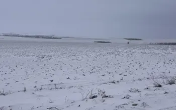 Auction image Farmland