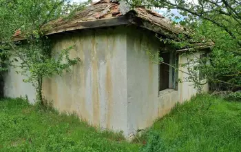 Auction image House