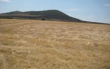 Auction image Farmland