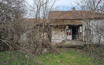 Auction image House