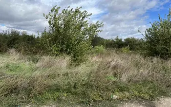 Auction image Парцел (ПИ, УПИ, двор)