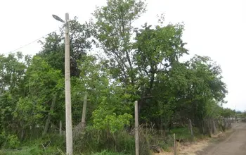 Auction image Парцел (ПИ, УПИ, двор)