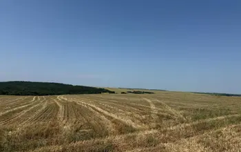 Auction image Farmland