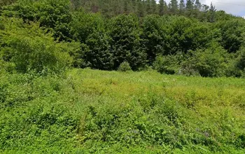 Auction image Земеделска земя/имот, ферма, парник/оранжерия