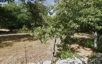 Auction image Rural property